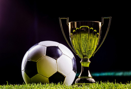 的竞争中 的竞争中