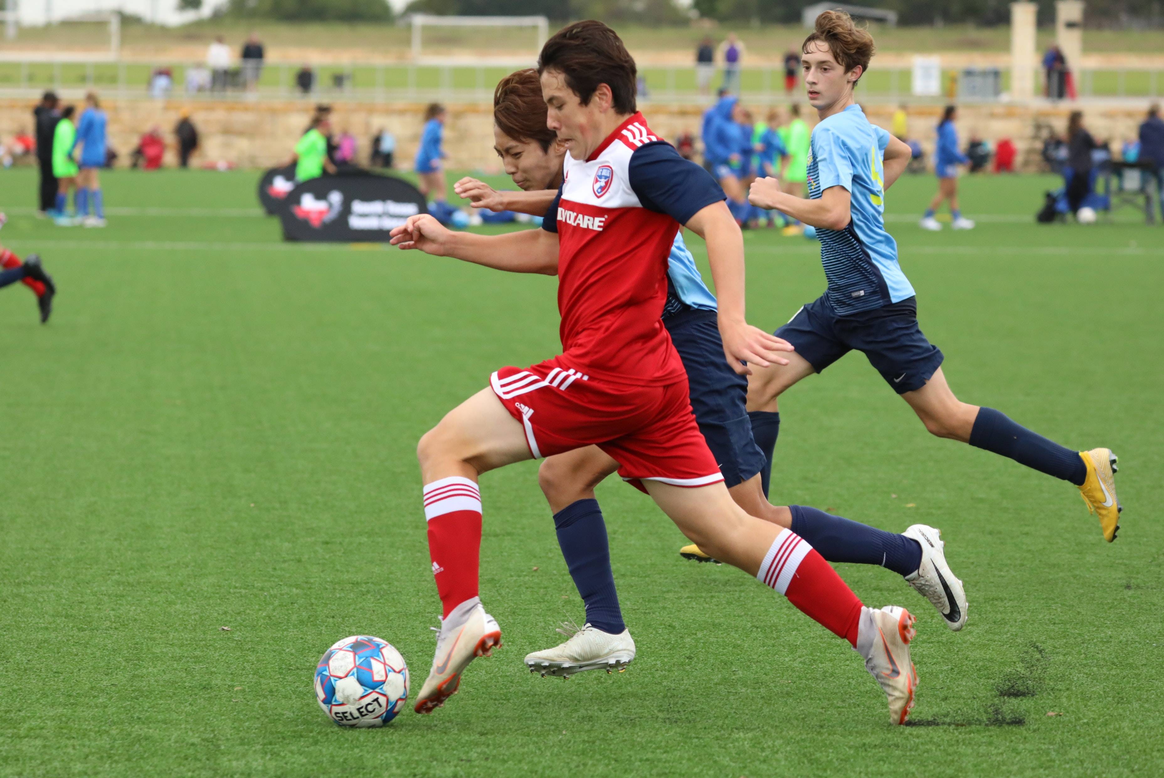 第四项是单 第四项是单