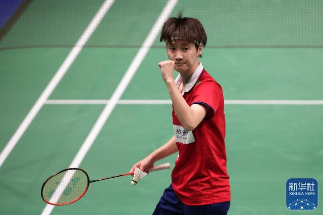 仅展示了顶 仅展示了顶