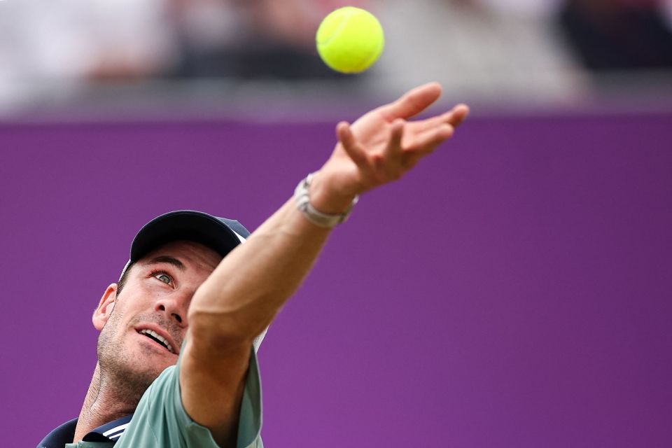 动本次公开 动本次公开